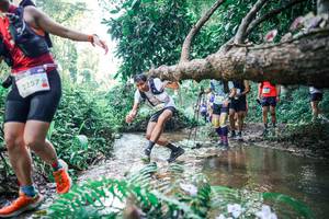 BIB: 
                            <button type="button" onclick="openModal(25454518)" class="btn btn-primary btn-sm float-right btn-popup" data-toggle="modal" data-target=".modal-high-quality">
                        <i class="fas fa-shopping-cart"></i> Add to Cart
                    </button>
                                            <button type="button" onclick="isThisMe(25454518, true)" class="btn btn-success btn-sm float-right btn-popup btn-isme hidden" data-toggle="tooltip" data-placement="bottom" title="นี่คือรูปของคุณใช่ไหม คลิกที่นี่เพื่อเอาเข้าอัลบั้ม">
                        <i class="fas fa-plus"></i> Add to album
                    </button>
                    <button type="button" onclick="isThisMe(25454518, false)" class="btn btn-warning btn-sm float-right btn-popup btn-isnotme hidden">
                        <i class="fas fa-ban"></i> Remove from album
                    </button>